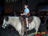 horse-camel-riding